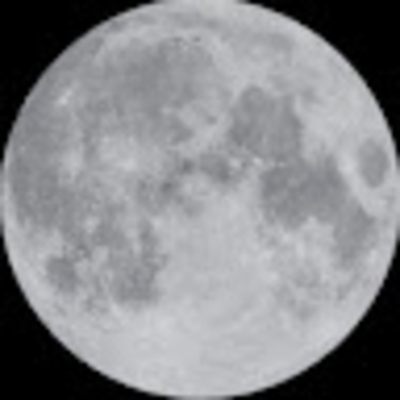 leis_461